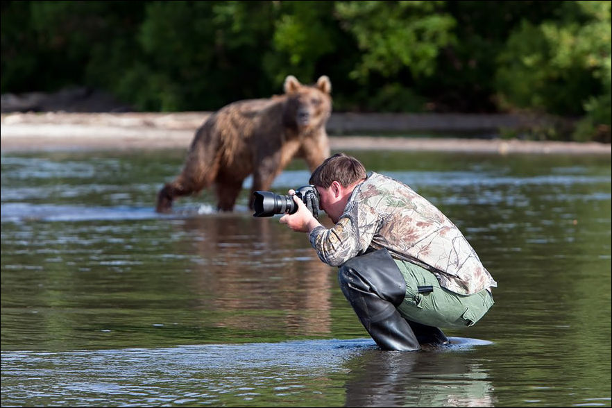 Фотограф дикой природы за работой