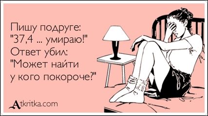 Смешные открытки