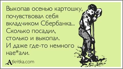 Смешные открытки