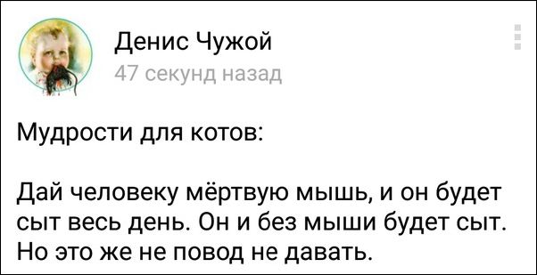 Смешные комментарии из социальных сетей