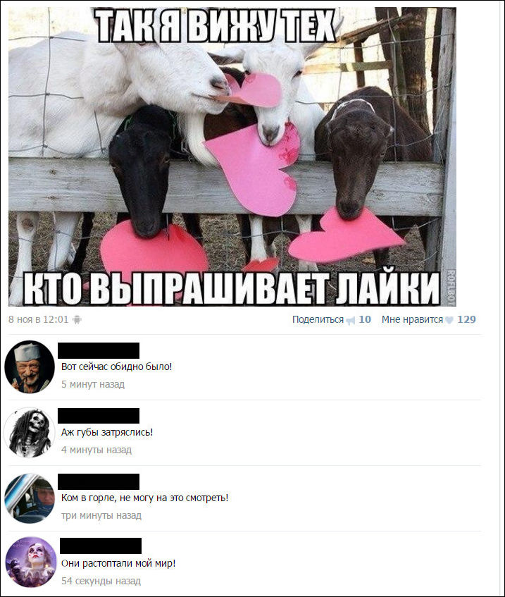 Смешные комментарии из социальных сетей