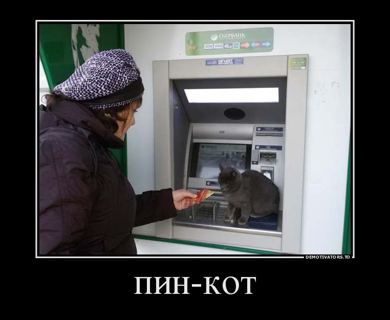 демотиватор