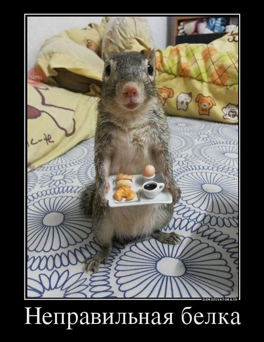 демотиватор