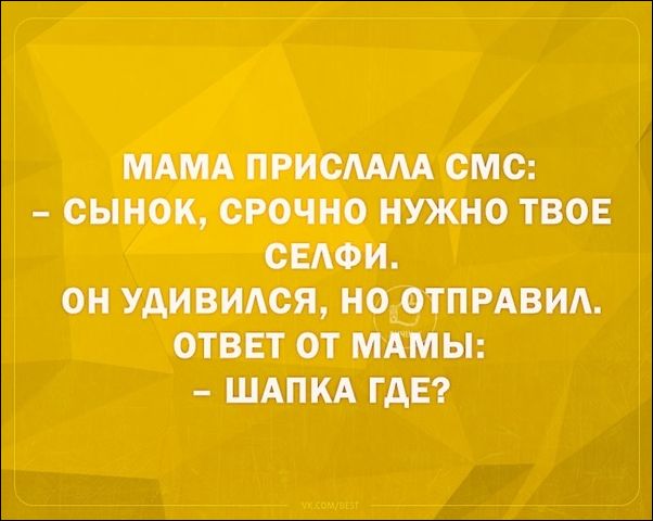смешные аткрытки смешные аткрытки