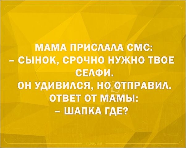 смешные аткрытки