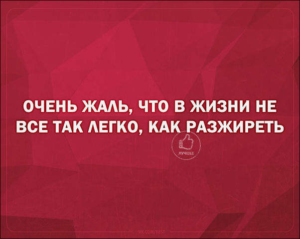 смешные аткрытки смешные аткрытки