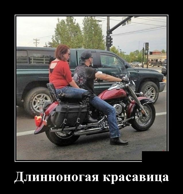 демотиватор