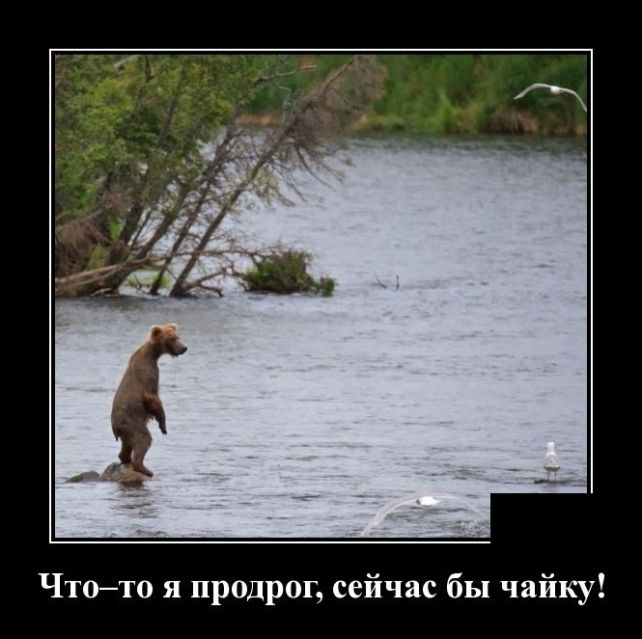 демотиватор