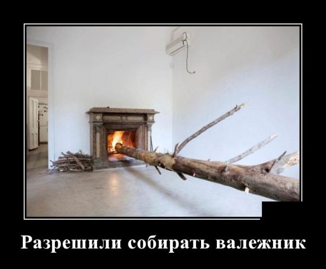 демотиватор