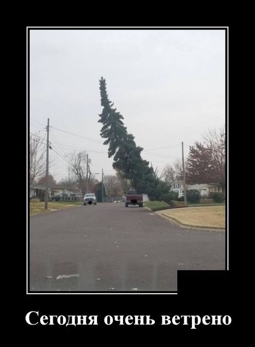 демотиватор