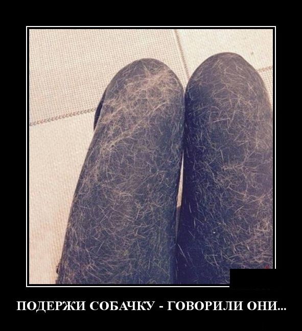 демотиватор