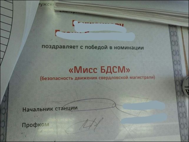 фото приколы