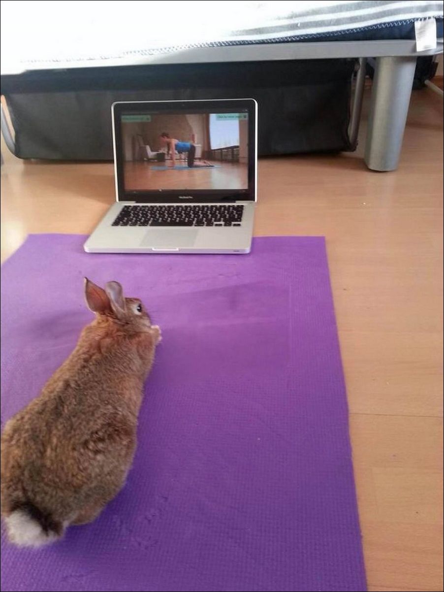 фото приколы