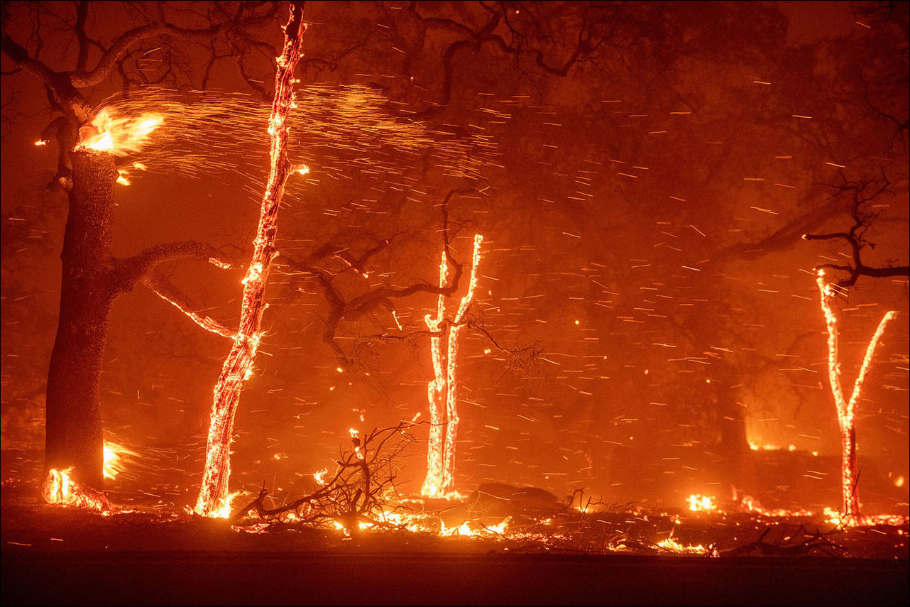 лесные пожары в Калифорнии