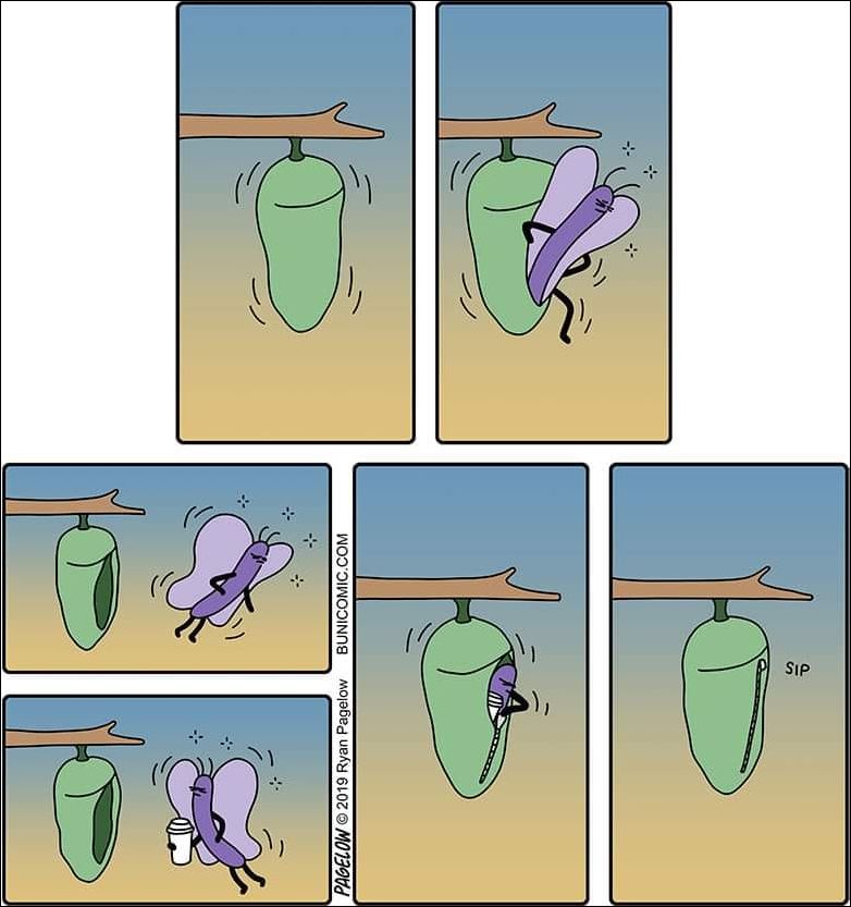 комиксы и карикатуры