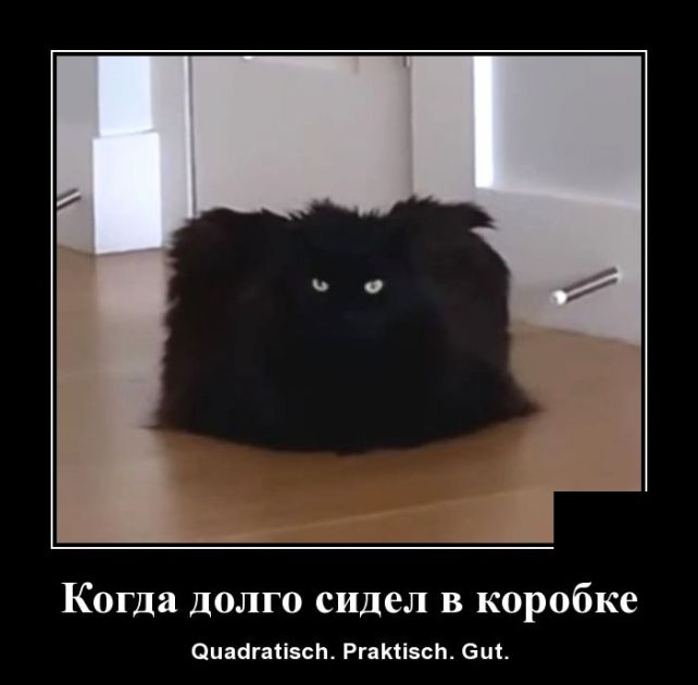 демотиватор