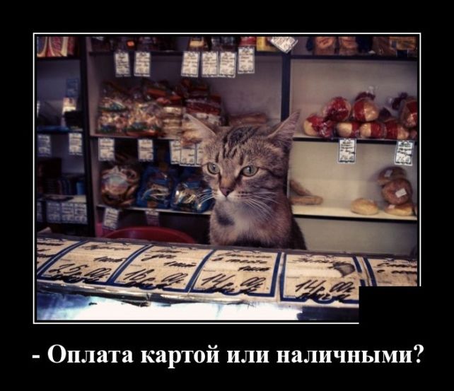 демотиватор