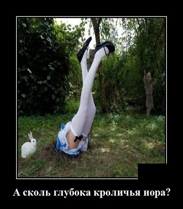 демотиватор