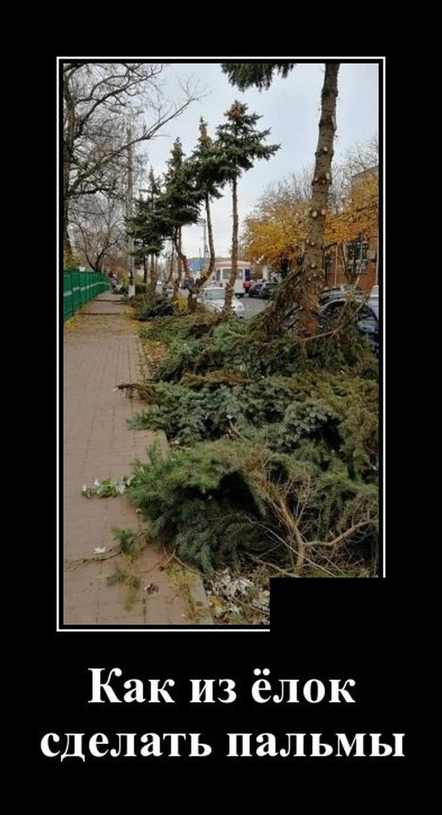 демотиватор