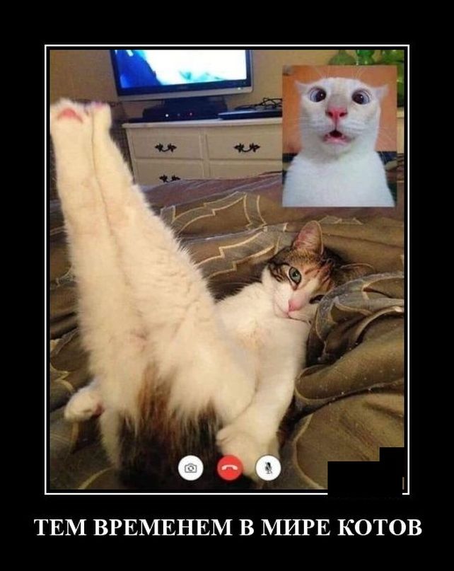 демотиватор