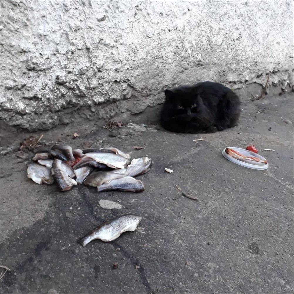 фото приколы