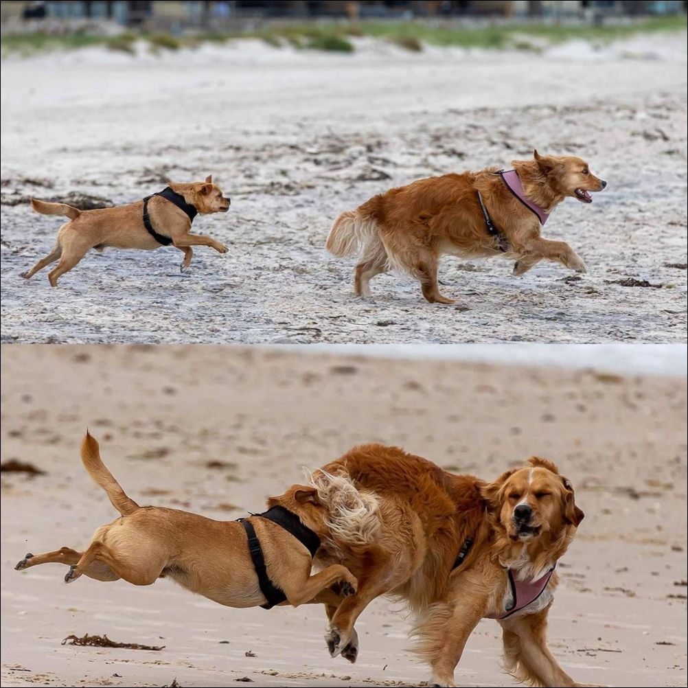 фото приколы