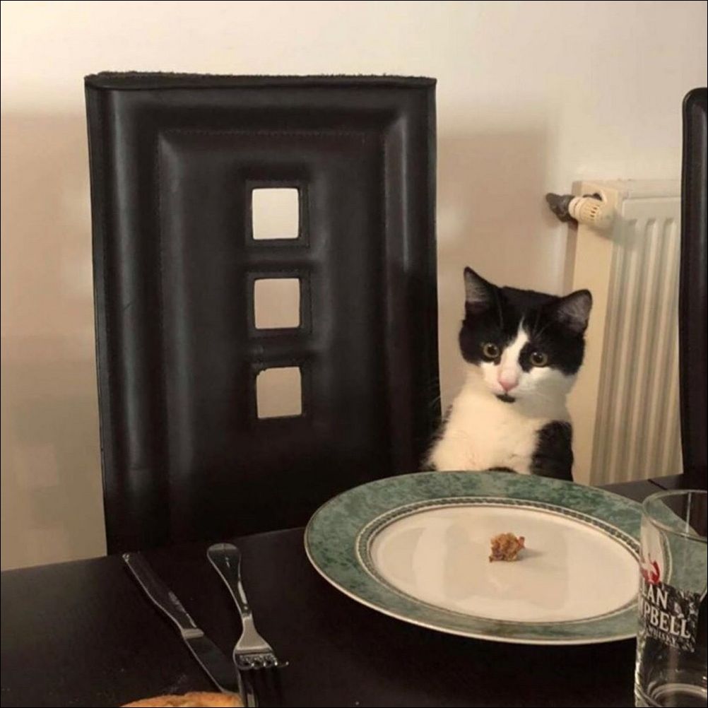 фото приколы