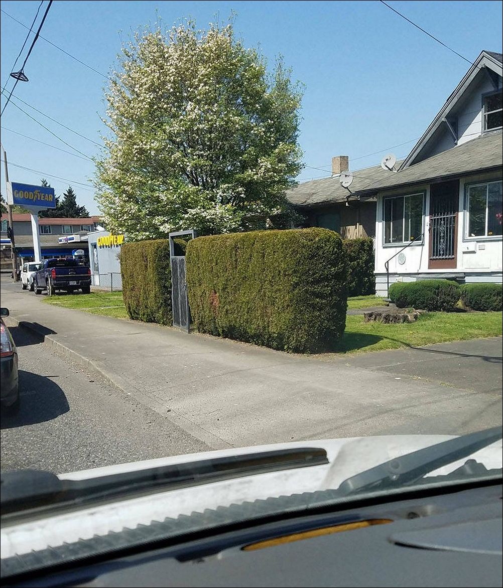 фото приколы