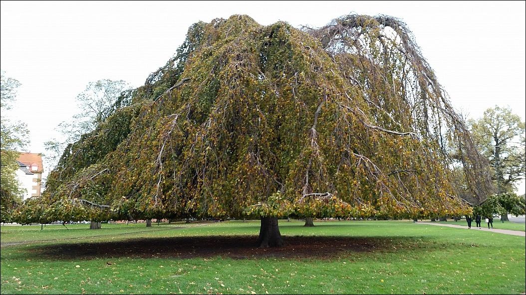 фото приколы