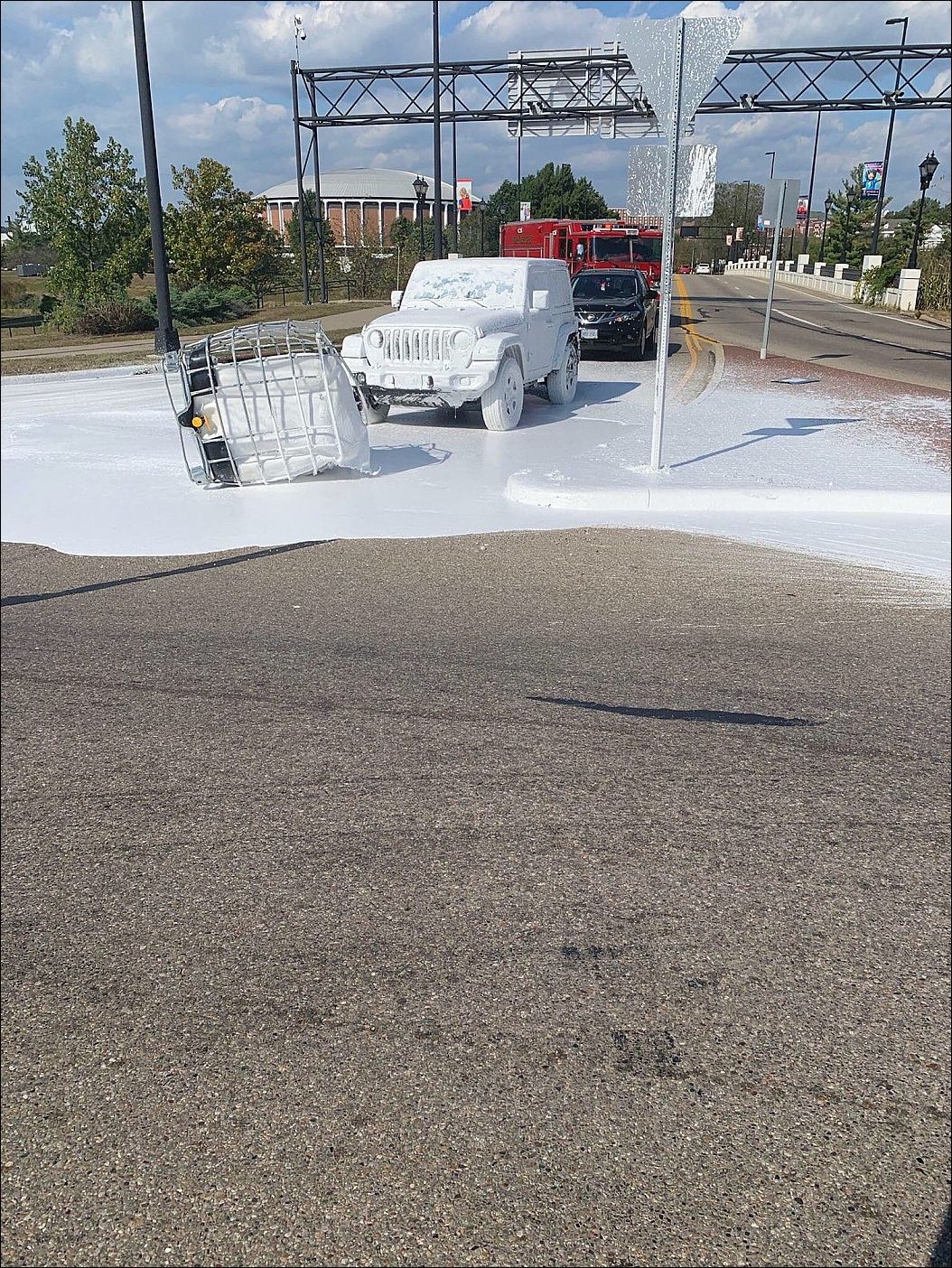 фото приколы