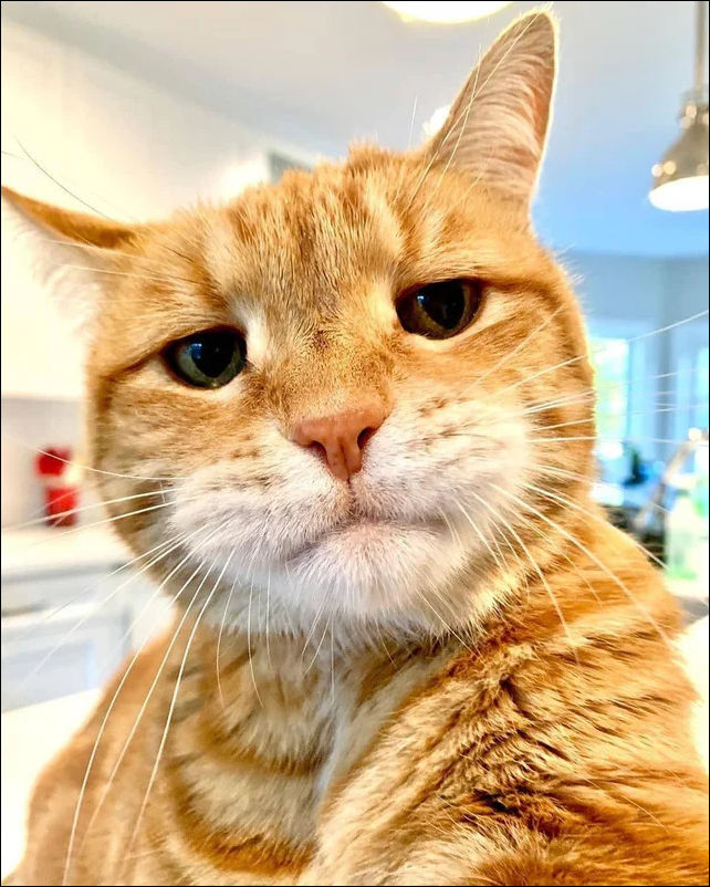 фото приколы