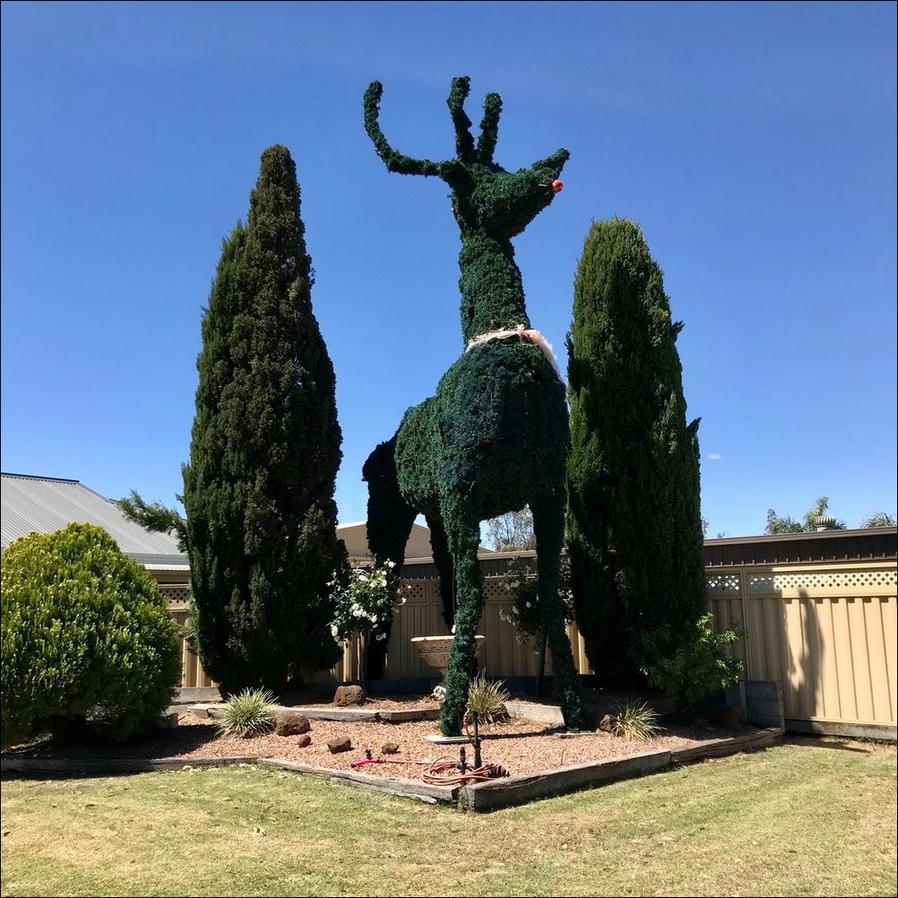 фото приколы