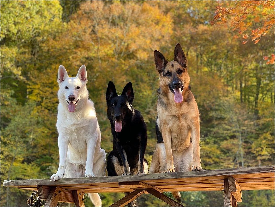 фото приколы