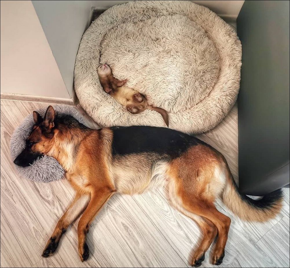 фото приколы