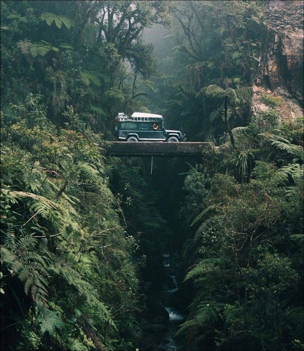 фото приколы