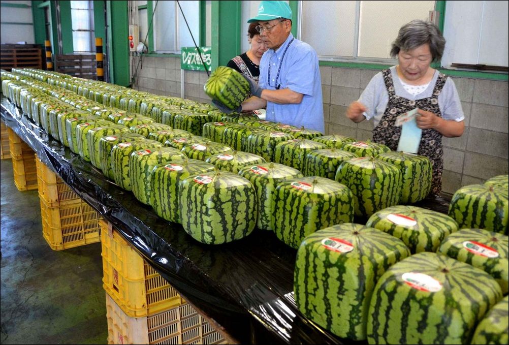 фото приколы