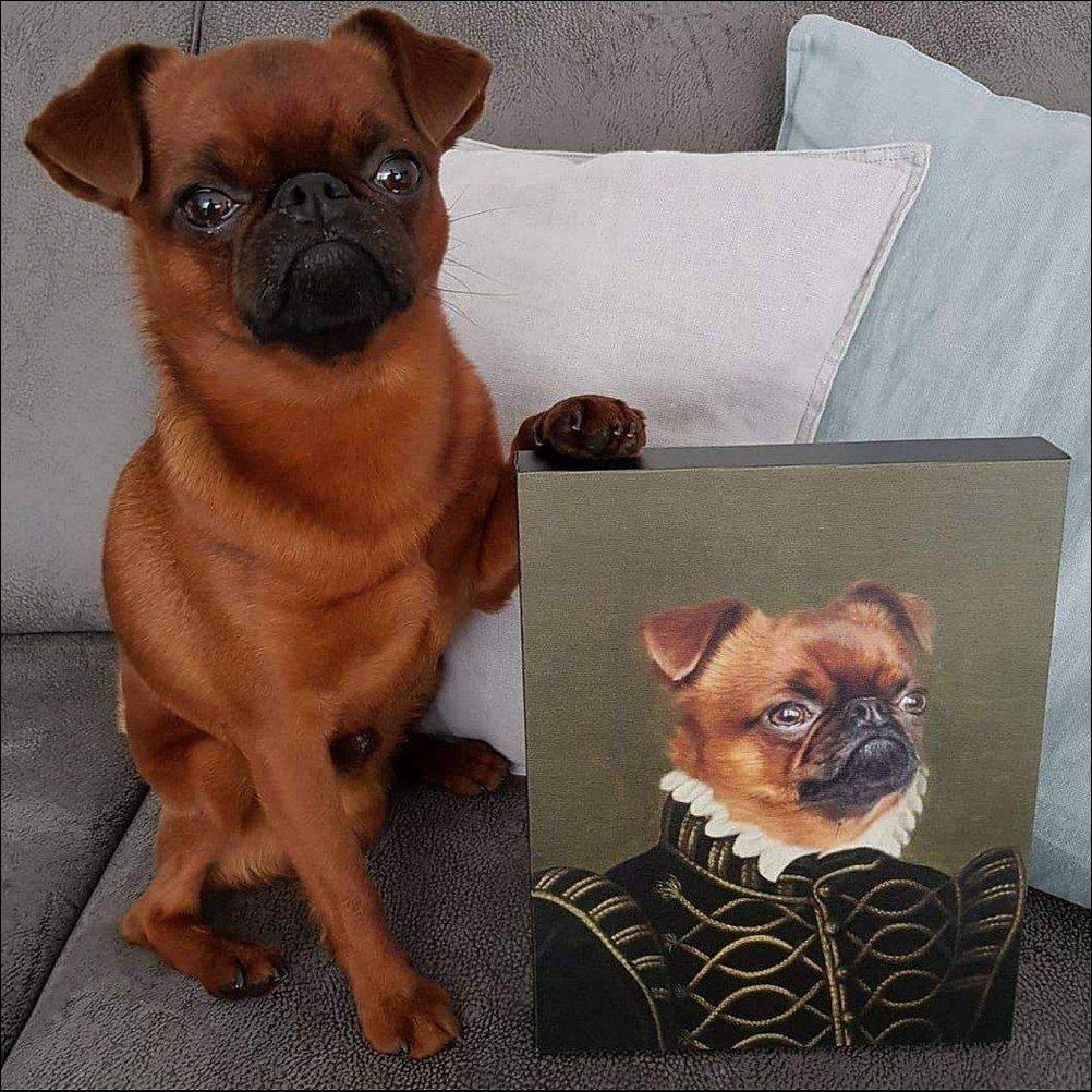 фото приколы