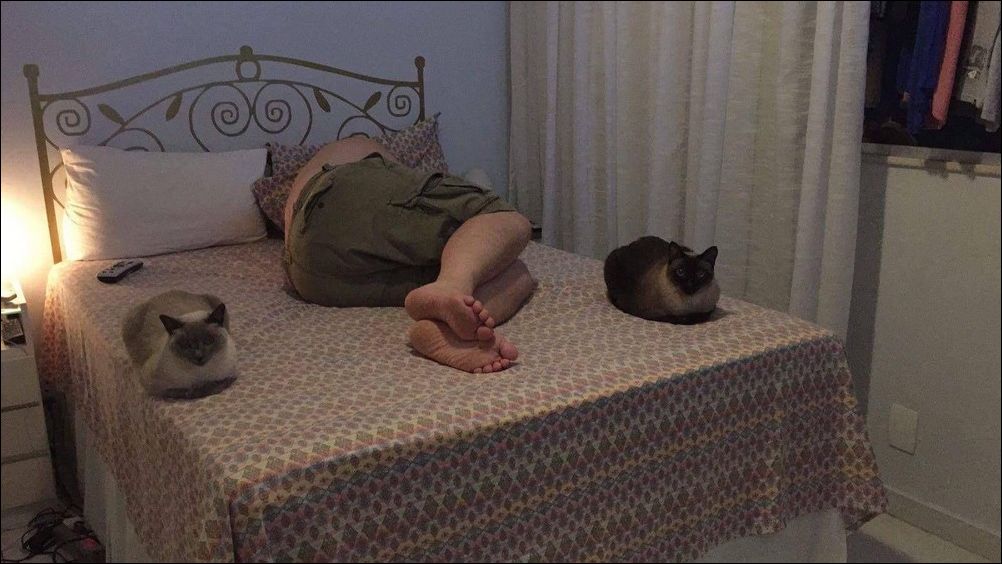 фото приколы