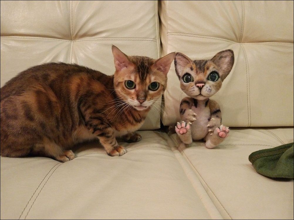 фото приколы