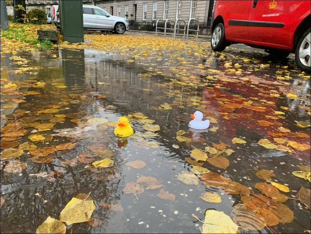 фото приколы