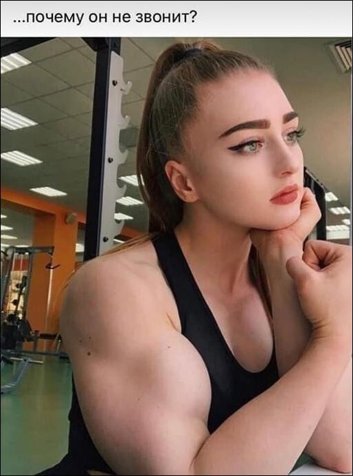 прикольные картинки