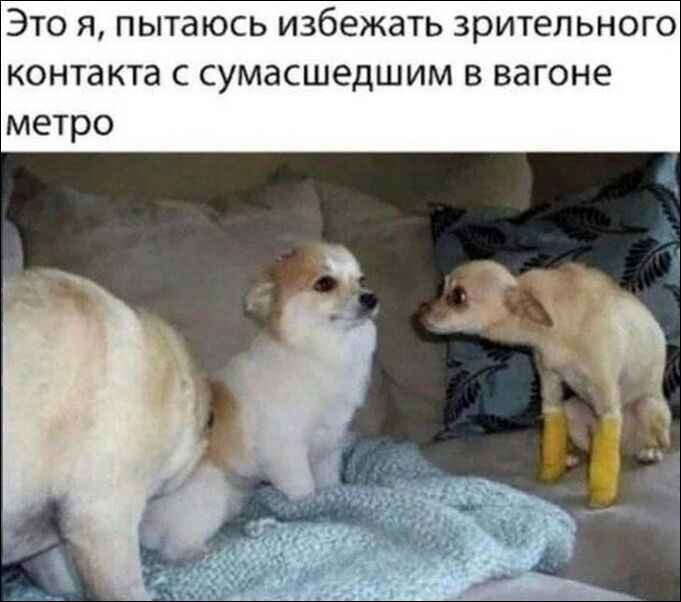 комиксы и карикатура комиксы и карикатура