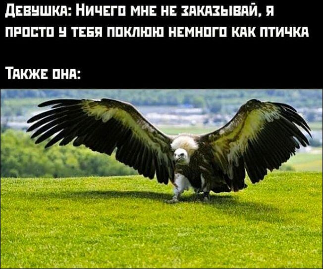комиксы и карикатура комиксы и карикатура