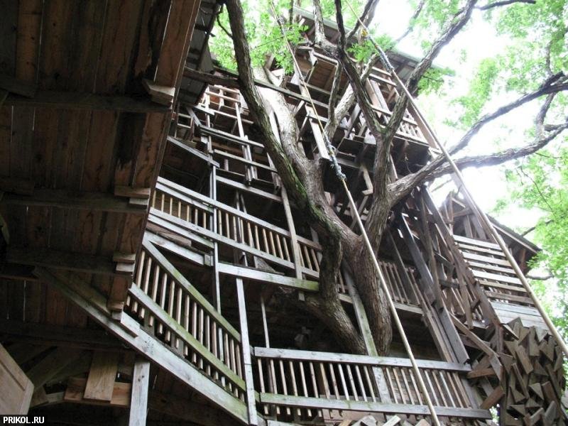 97-feet-treehouse-03