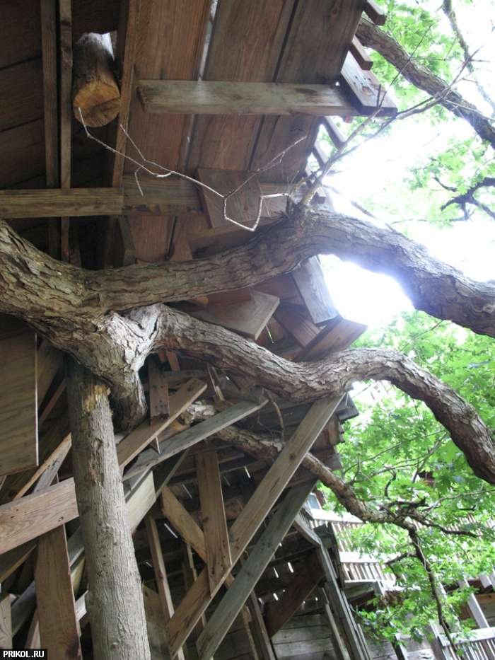 97-feet-treehouse-14