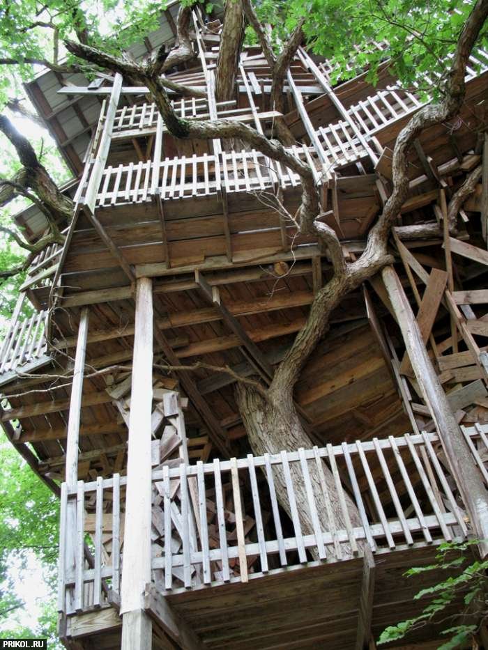 97-feet-treehouse-19