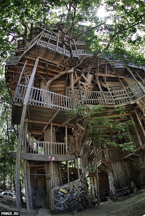 97-feet-treehouse-25