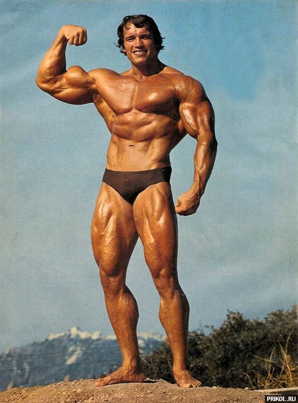 arnold-schwarzenegger-04