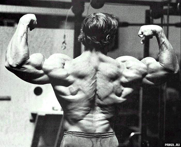 arnold-schwarzenegger-07