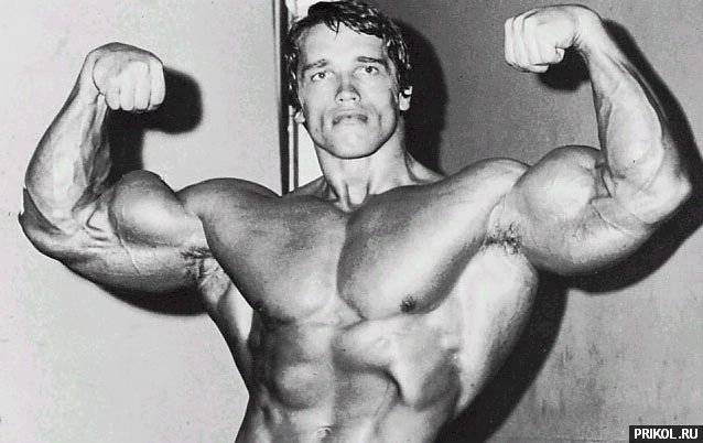 arnold-schwarzenegger-09